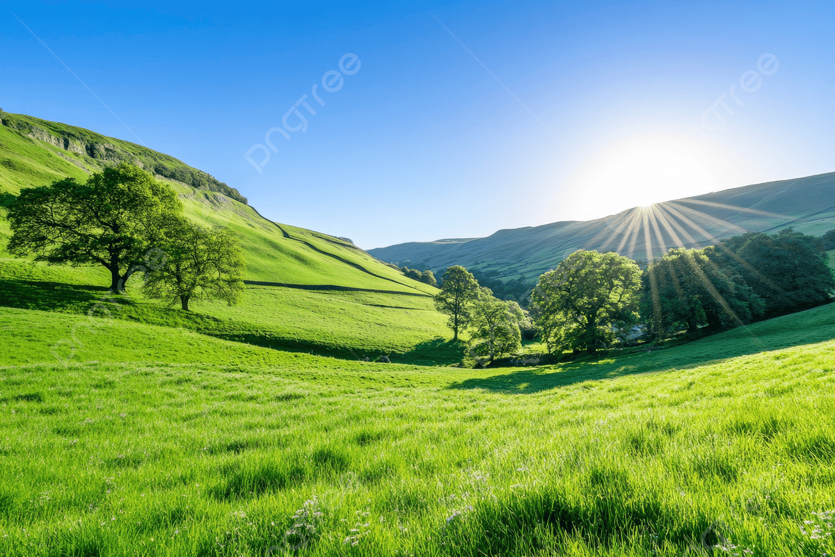Menikmati Bukit dengan Padang Rumput dan Panorama Hijau